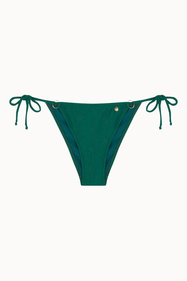 PALMS BOTTOM ARO