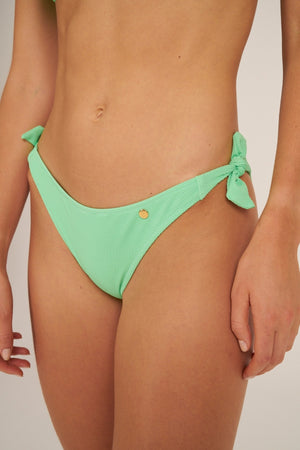 MENTHE BOTTOM NORMAL