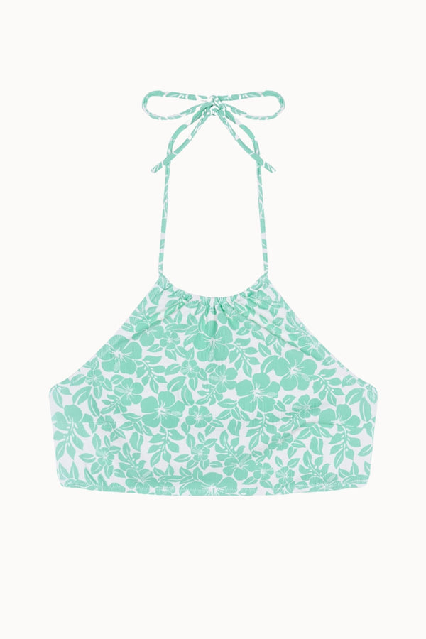 HIBISCUS TOP TOP