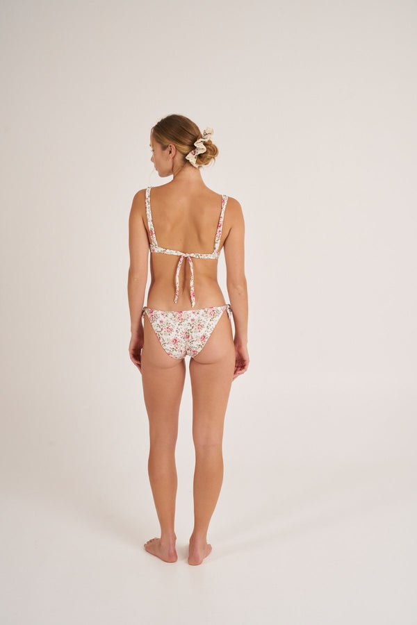 CAMELIA BOTTOM NORMAL