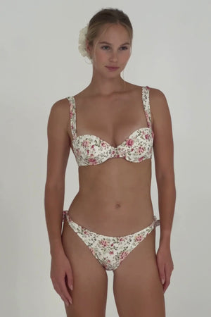 CAMELIA BOTTOM NORMAL